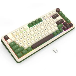 کیبورد بی سیم مکانیکال گیمینگ ردراگون مدل Cyrus PRO K681 CGC